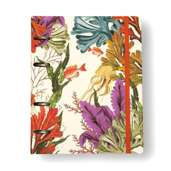 Caderno Argolado Cicero Criativo Office Duo Oceano Pautado e Pontado A5 Mergulho