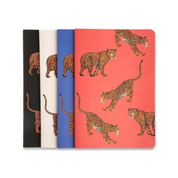 Caderno Cicero Kit de Revistas Notas Mix Onças 4un 14X21