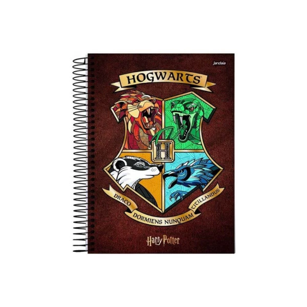Caderno Colegial Harry Potter 1 Matéria 80F Jandaia Hogwarts