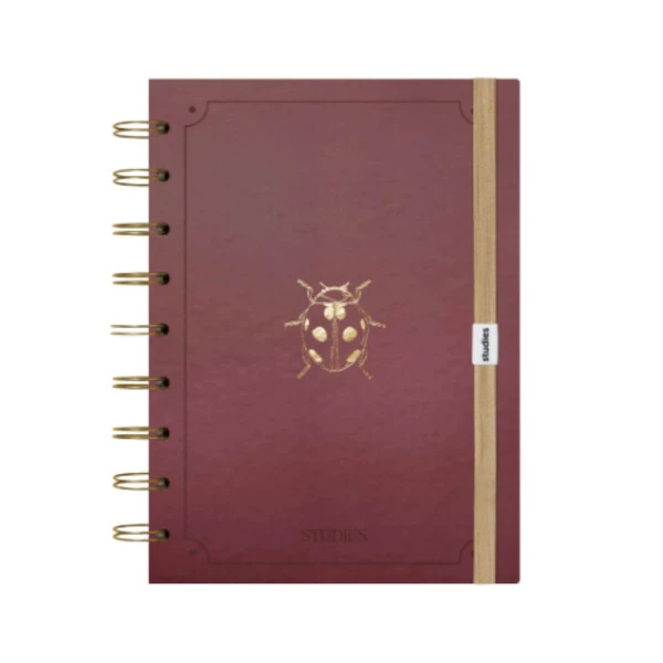 Caderno Studies Médio Joaninha Linhas Brancas