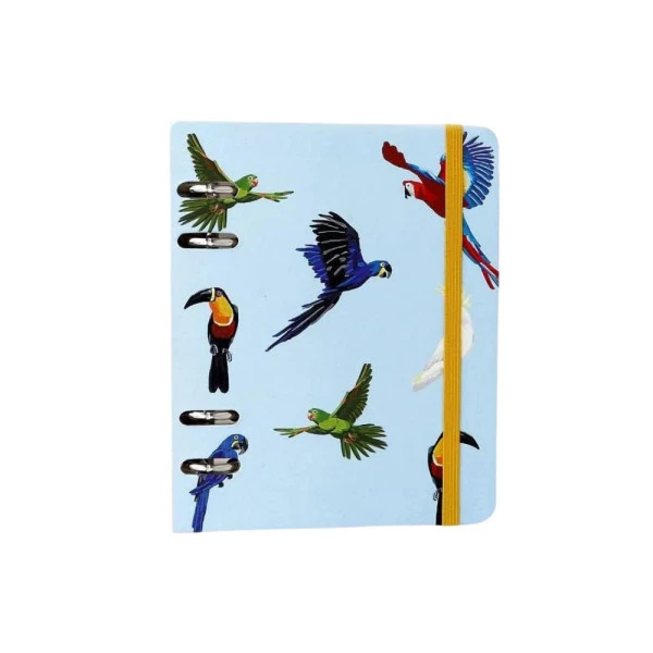 Caderno Argolado Cicero Criativo Office Duo Pássaros Espécies Azul A6