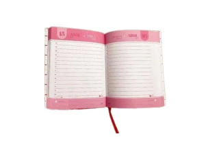 Agenda Diária 2025 Executiva Mini Costurada Dac Enjoy 102mm x 139mm