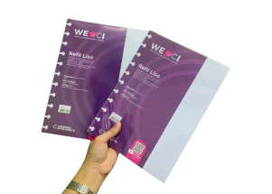 Refil Caderno Inteligente Grande Liso 30F 120g