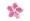 Kit Papelaria Flor De Lotus Rosa Pink Set