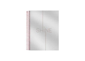 Caderno Colegial 10 Matérias Shine Foroni Prata