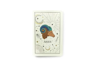 Caderno De Anotações Meu Pequeno Cicero Astral Áries