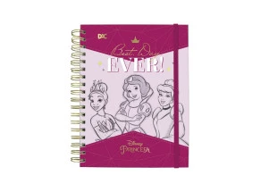 Caderno Smart Colegial Princesas DAC